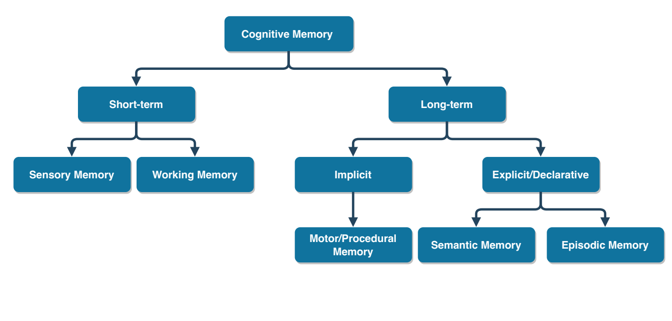 memory taxonomy